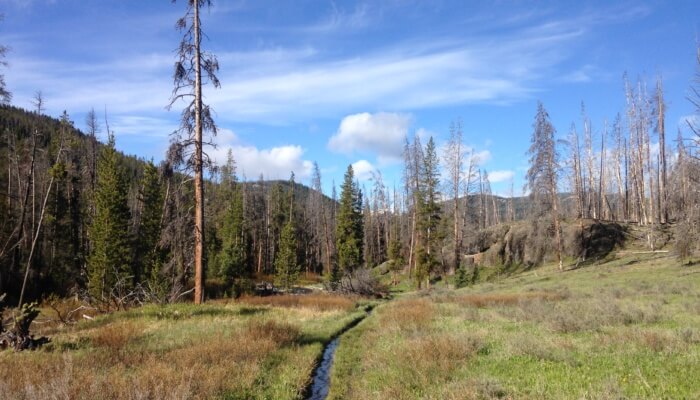 Specimen Creek Trail, Montana