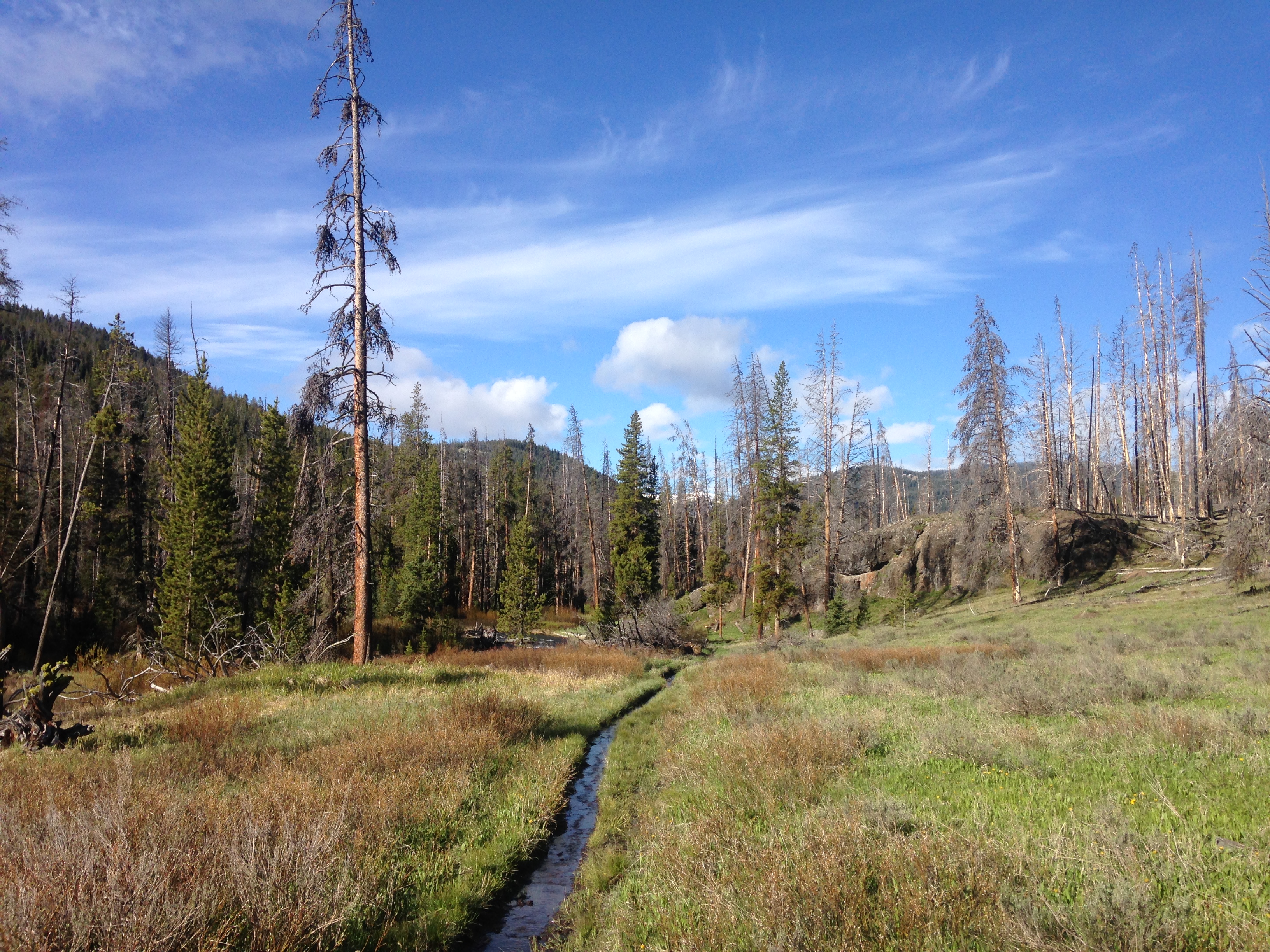 Specimen Creek Trail, Montana