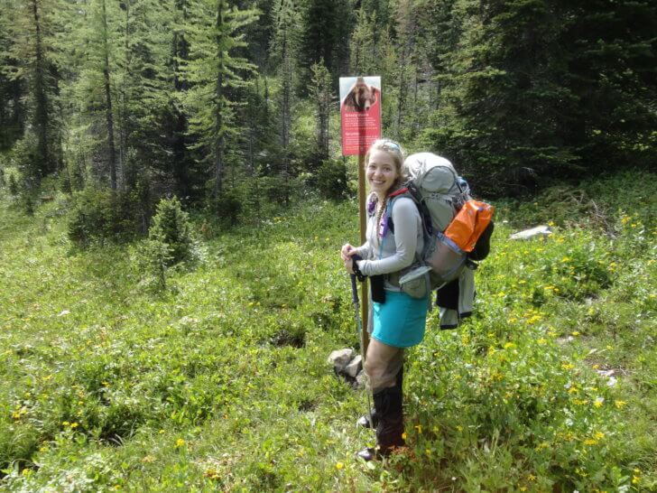 Grizzly bears abound in the Marvel Pass area - backpackers take caution.
