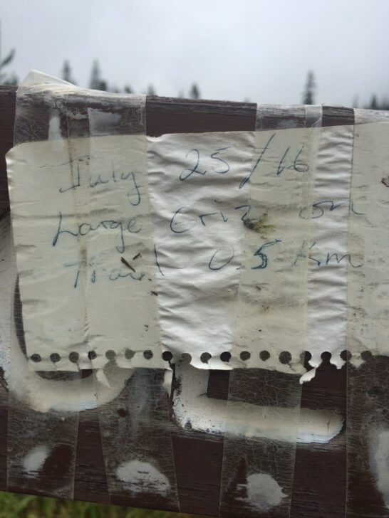 Grizzly bear warning as the trailhead of the Marvel Pass Backpacking Trail, British Columbia, Canada.