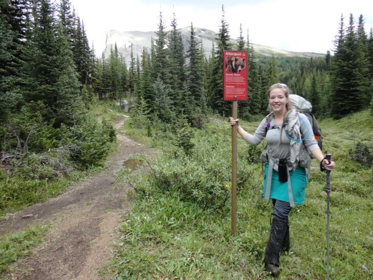 Bear sign on the Marvel Pass Backpacking Trail.