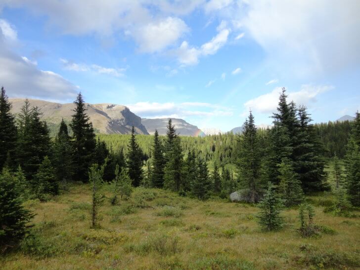 Sunshine on the Marvel Pass Backpacking Trail.