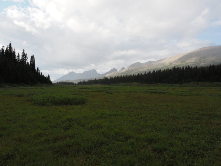 Meadow views near Lake Magog on the Marvel Pass Backpacking Trail.