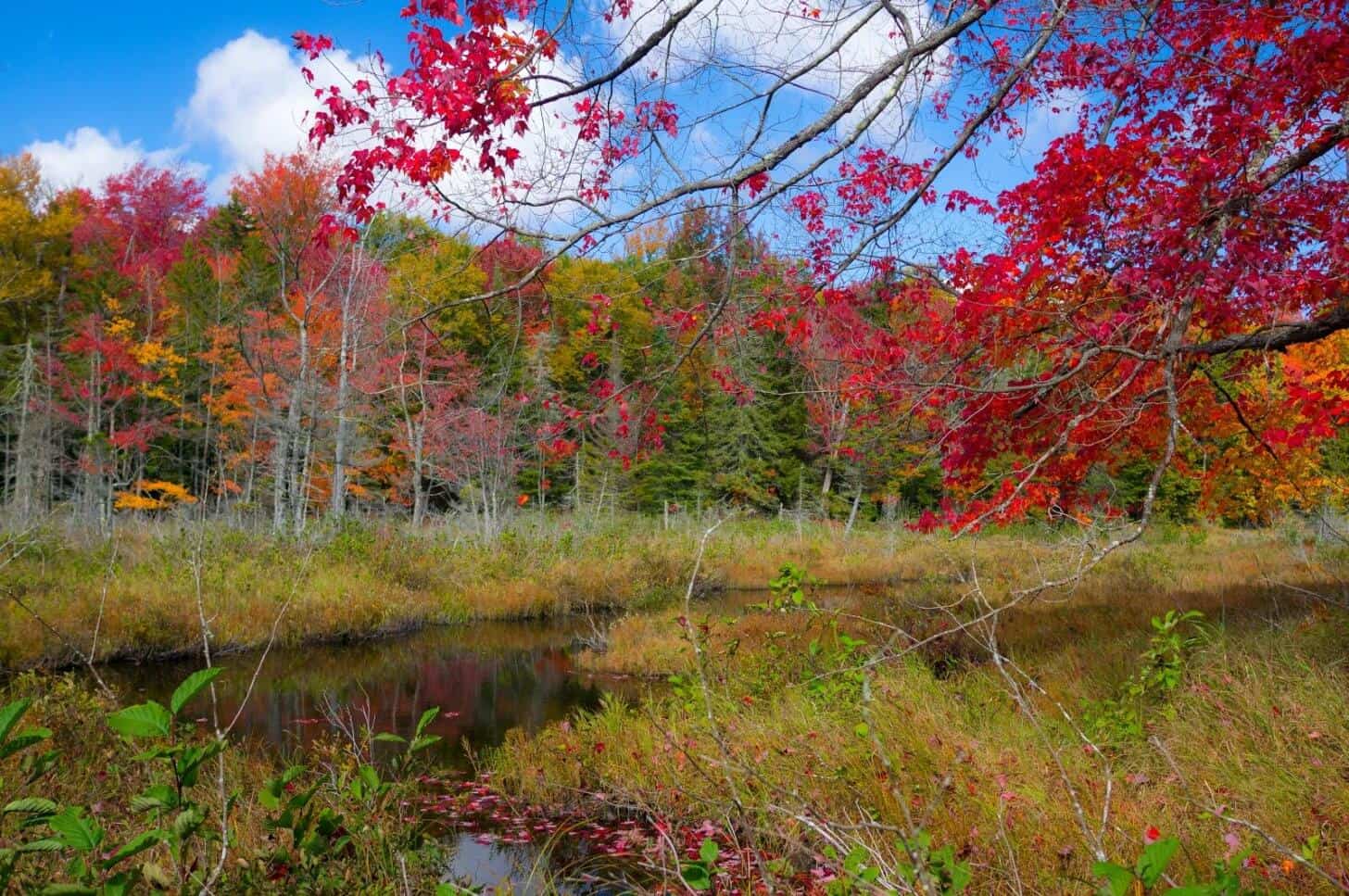 Crossing the Adirondacks - Backpacking Light