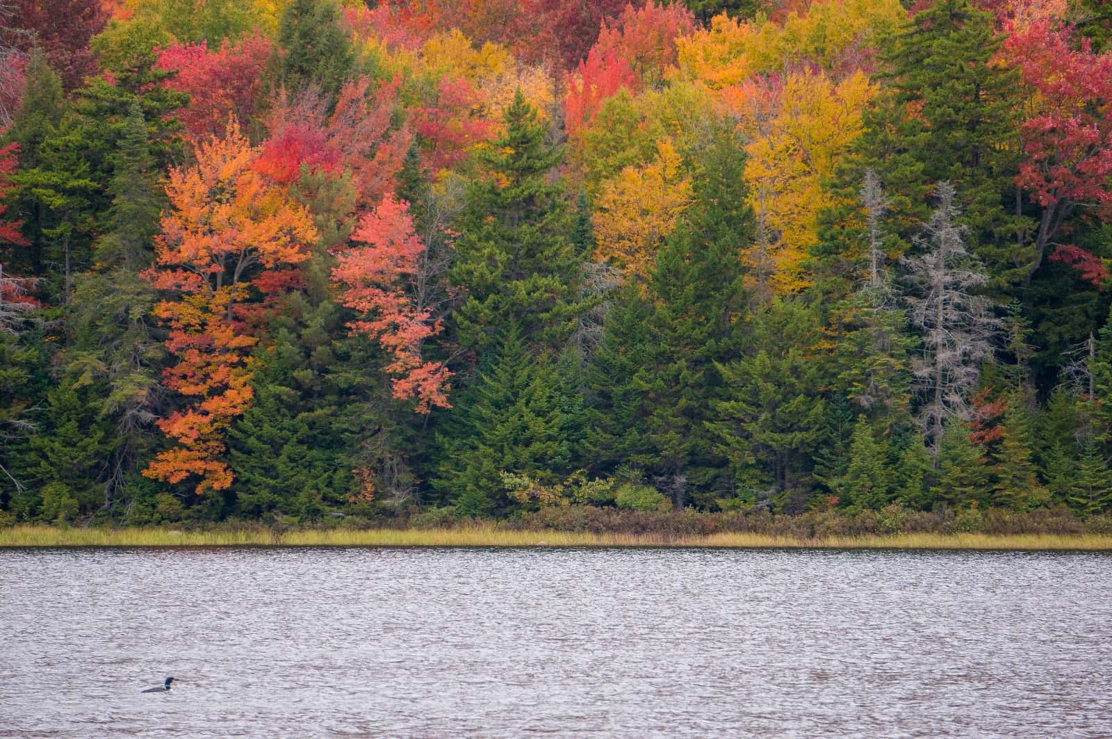 Crossing the adirondacks 33