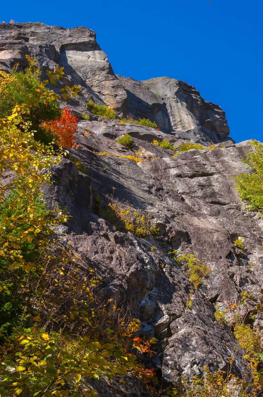 Crossing the adirondacks 43