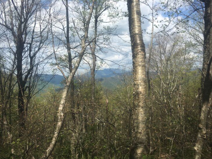 trip report great smoky mountains loop 28