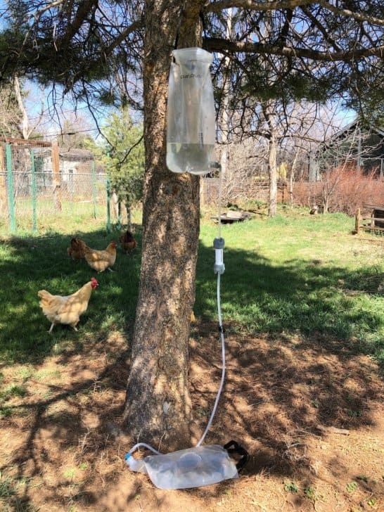 platypus gravity filter hanging from a tree