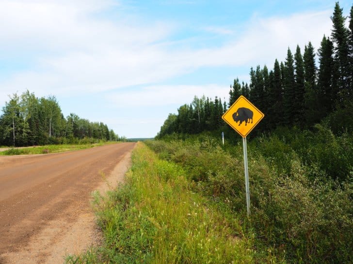 Nahanni River by Canoe: Another bison crossing sign