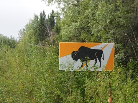 Nahanni River by Canoe: Bison Crossing Sign