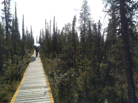 Nahanni River by Canoe: portaging the canoe