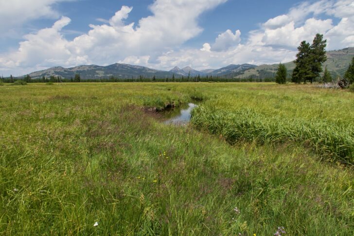 Hiking the Yellowstone Caldera Loop: The south boundary country