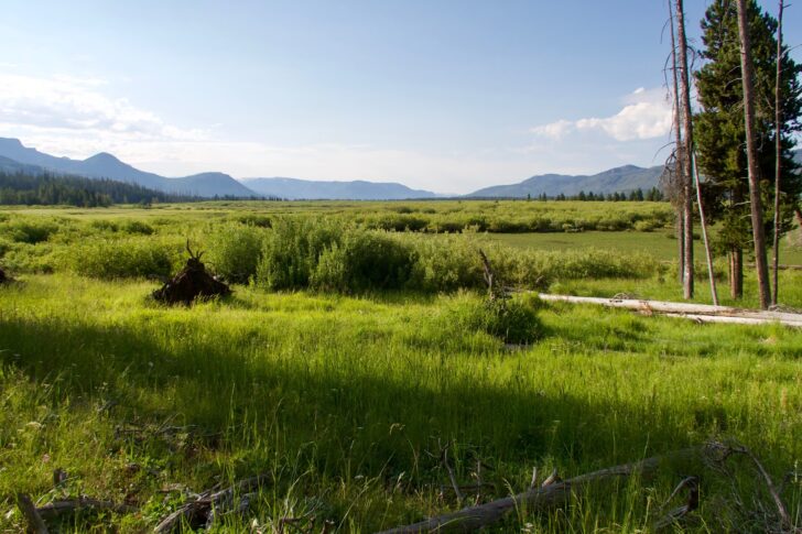 Hiking the Yellowstone Caldera Loop: Yellowstone R country