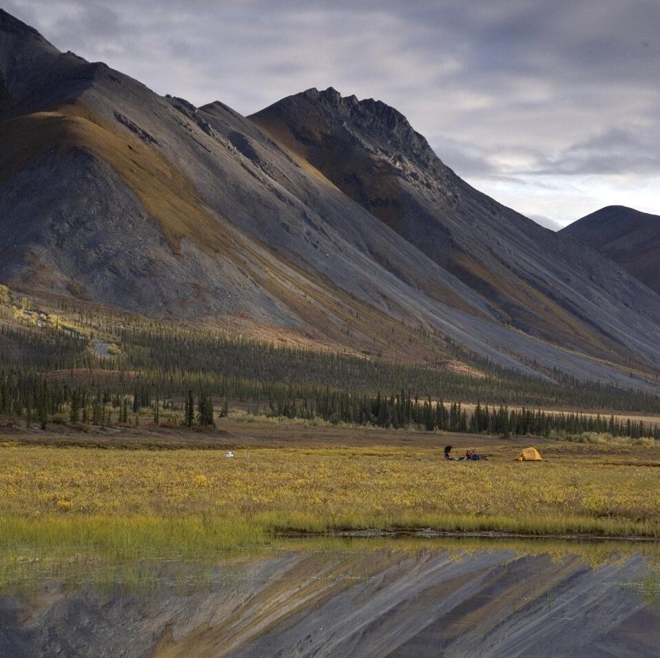 Episode 30 | Journalist Adam Federman on the Arctic National Wildlife Refuge, Part II