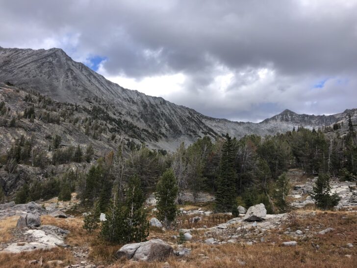 High subalpine mountains