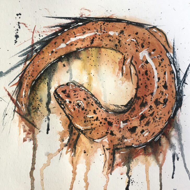The Red Salamander Painting