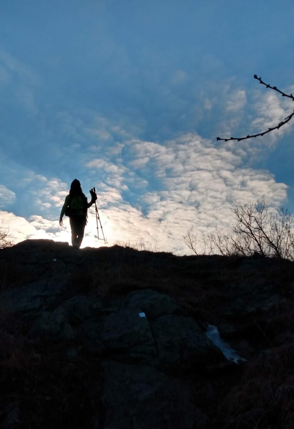 A woman with trekking poles walking on a ridge.