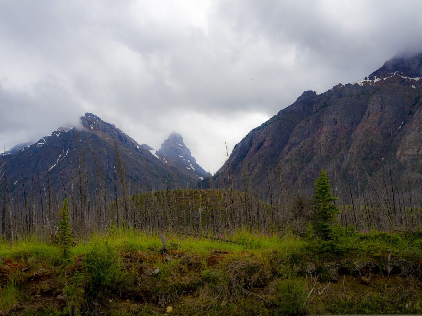 A misty mountain ridgeline with green vegetation in the foreground.