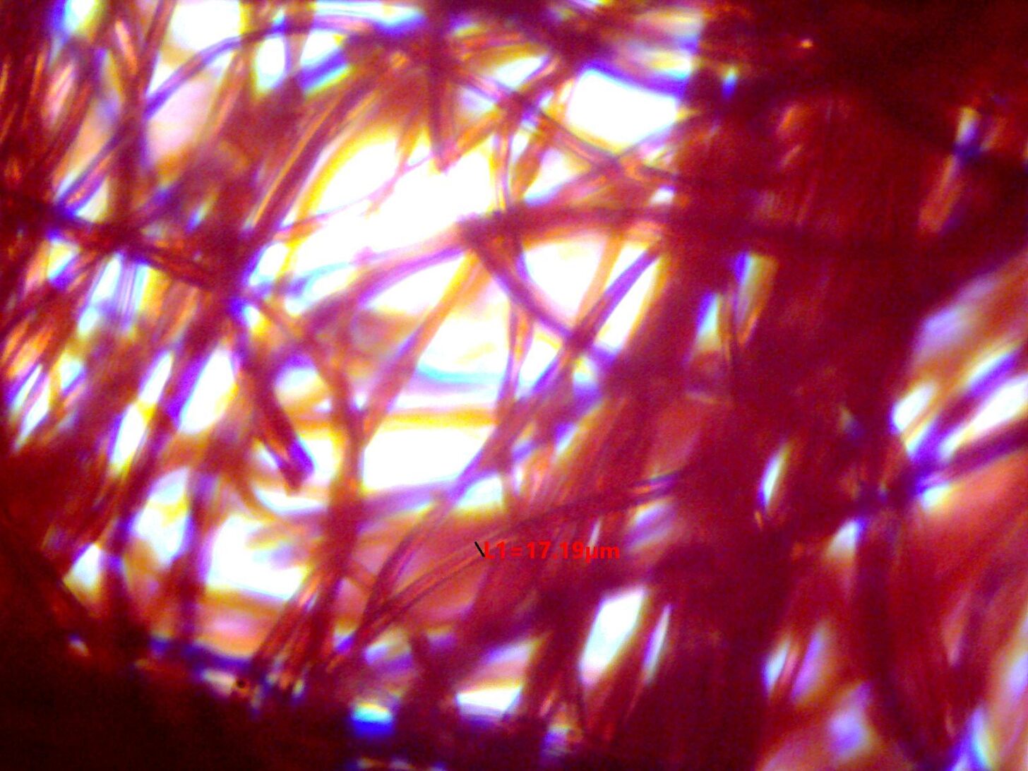 Polartec Alpha Direct High Magnification Photomicrograh showing fiber diameter measurement of 17.19 microns.