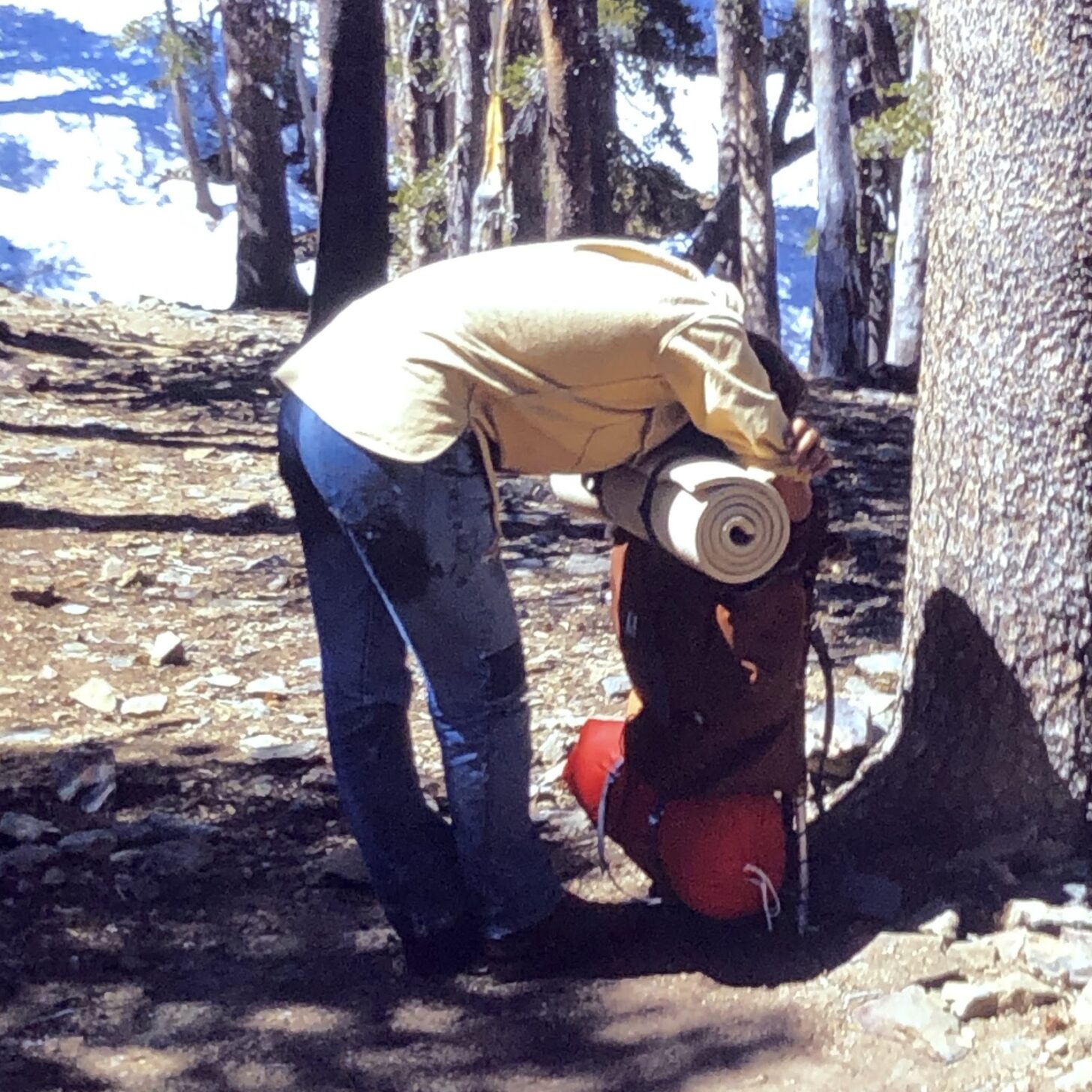 a woman leans against pack in a forest