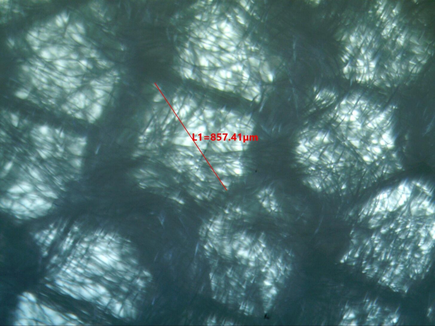 Polartec Alpha, Low Magnification Photomicrograph showing support grid (grid pore diameter about 850 microns).