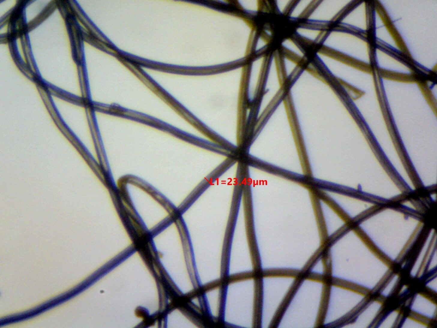 Polarguard 3D photomicograph showing a fiber diameter measurement of 23.49 microns.