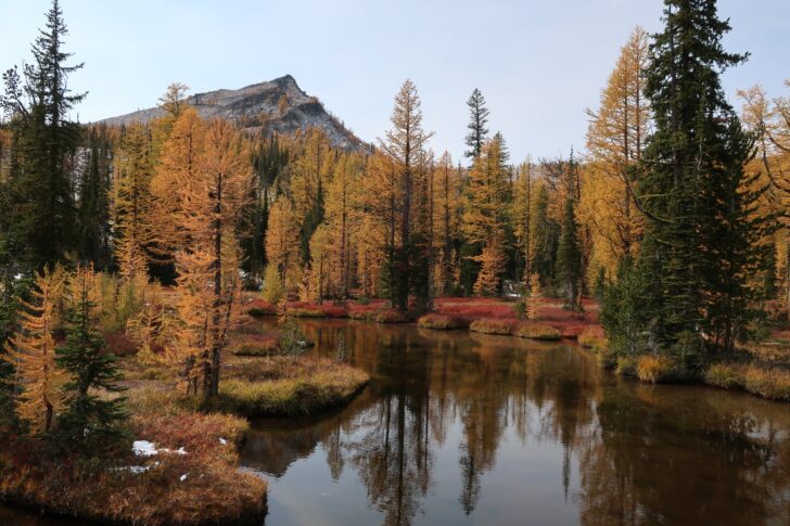 A shallow lake reflects autumn foilage. In the background, a lone peak towers above the forest.