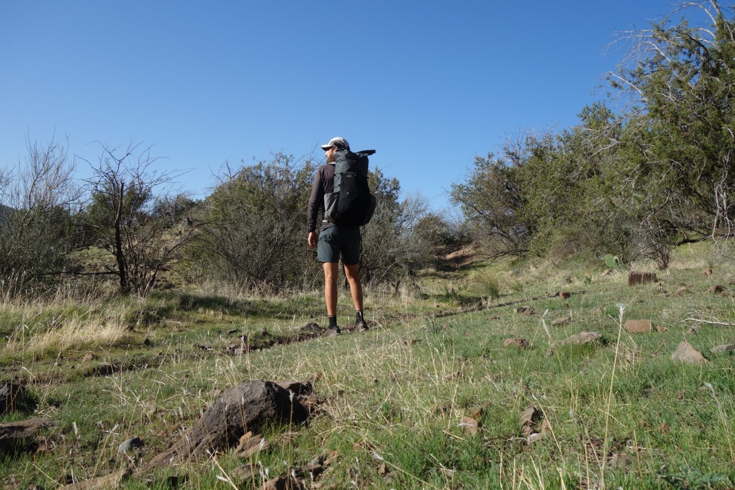 A man walks into some bushes while wearing a backpack.