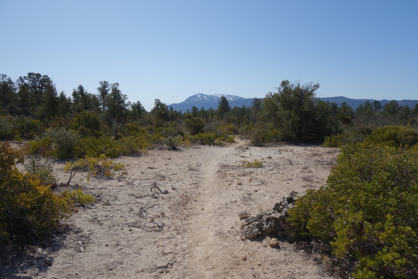 A sandy wash and some scrub brush in the foreground, with a blue mountain peak in the far distance.