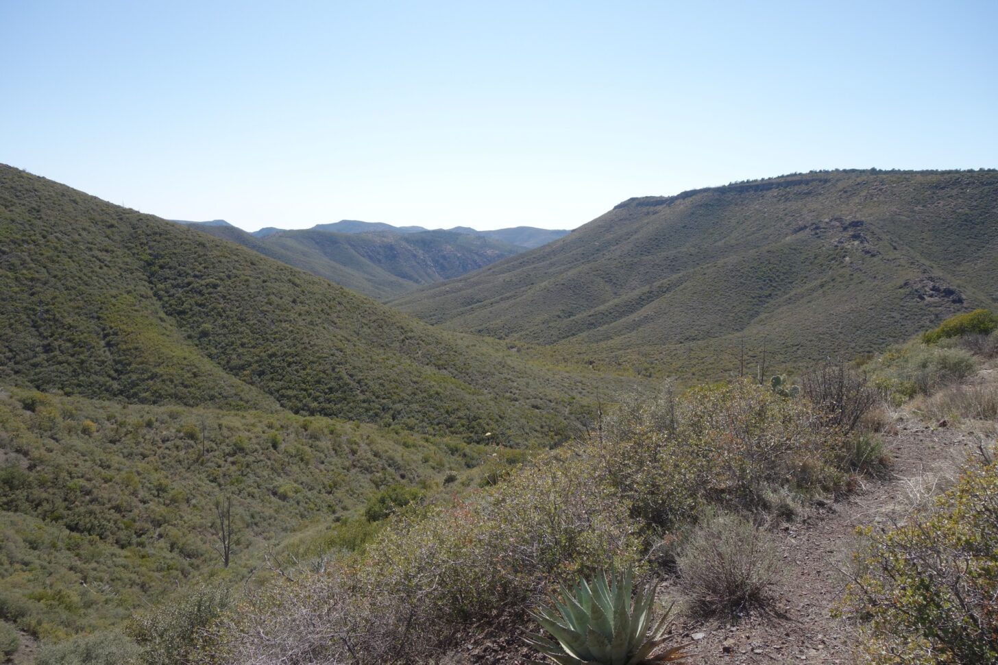 a view down a valley with rolling hills in the background.