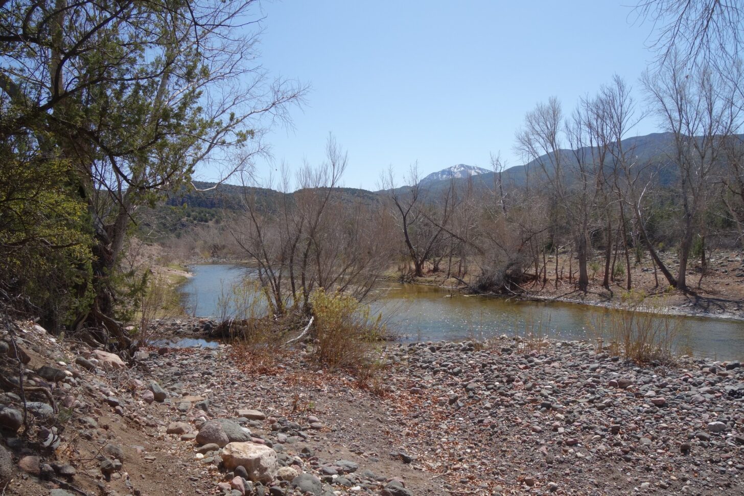 A shallow river with leafless trees on the bank.