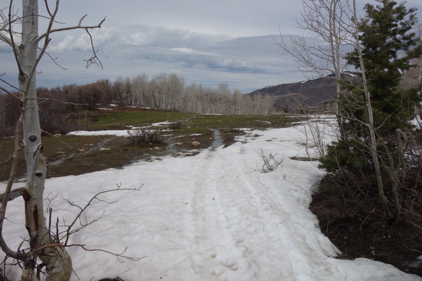 If you have naturalist inclinations, you too will be slip-sliding though snow and mud in transition season.
