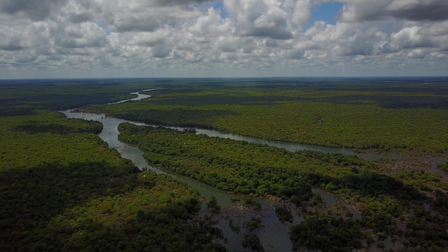 an aerial photo of a dark river snaking through lush forest