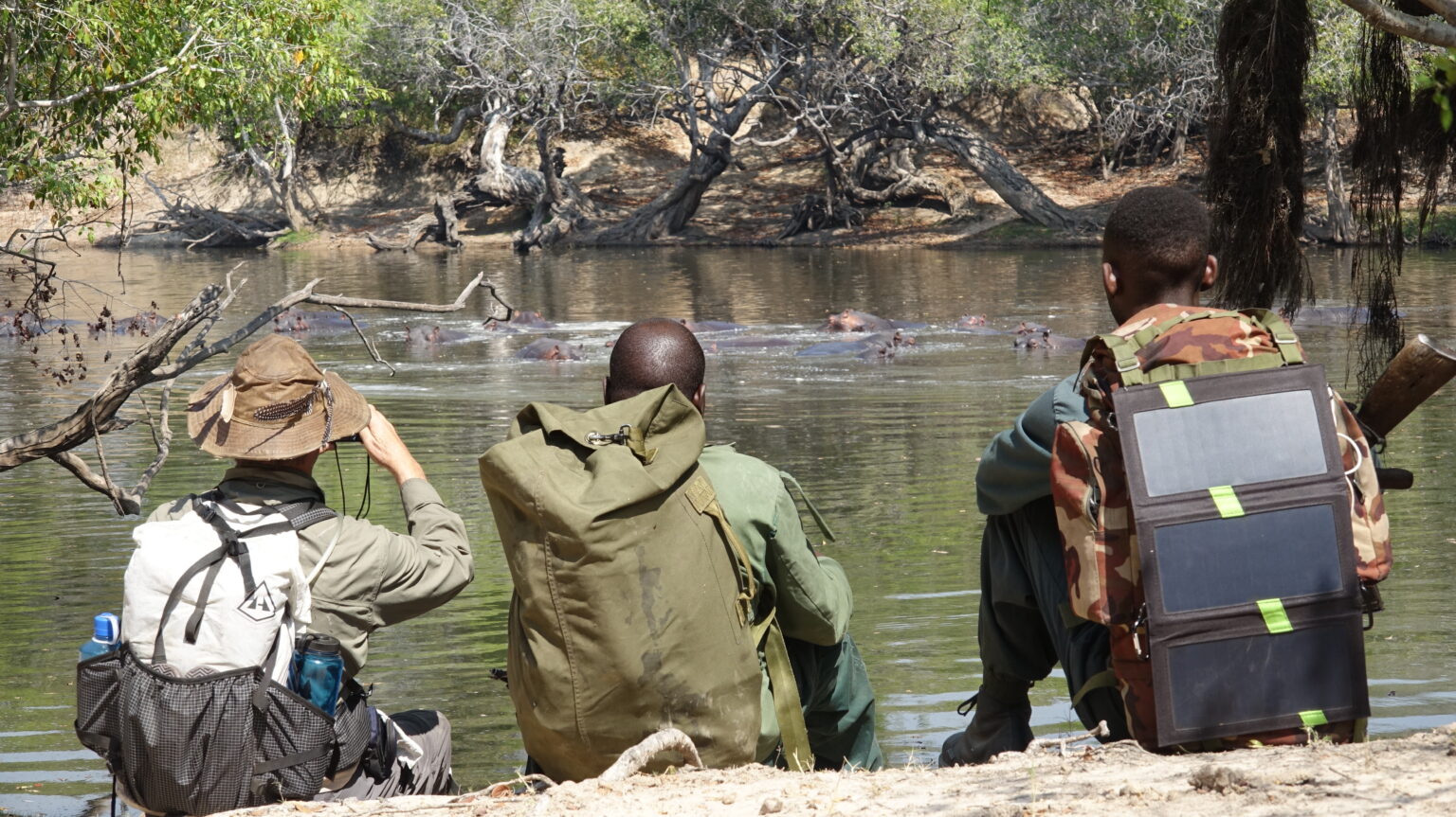 A Walk in the Park: 100 Miles Across the Wilds of Kafue National Park ...