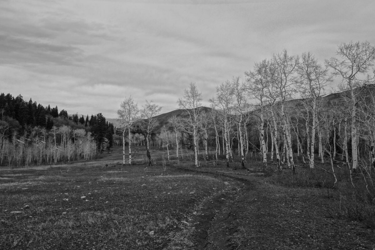 Episode 43 | Ben Kilbourne Reads “Observing Transition Season”
