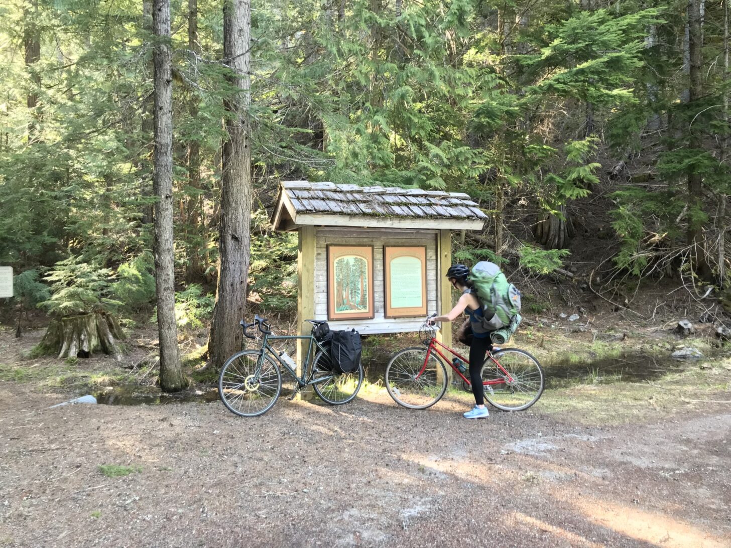 a woman stradles a bicycle and reads a trail sign at the trailhead in a peaceful forest
