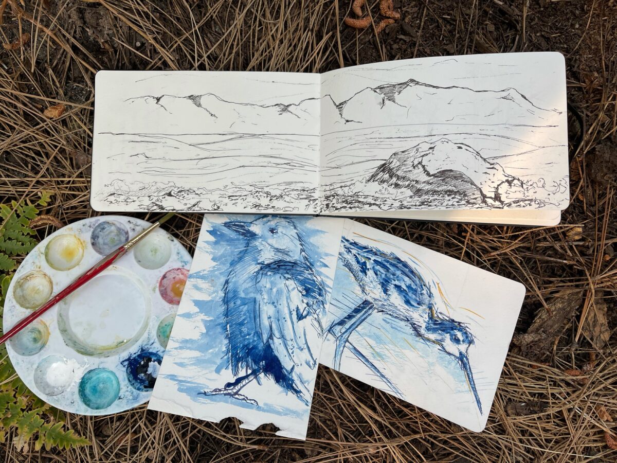 Episode 45 | Backcountry Creativity