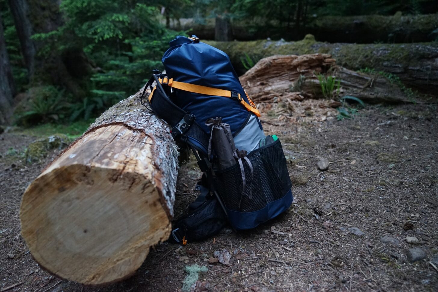 The Vargo ExoTi BOG leaning against a log at a campsite.
