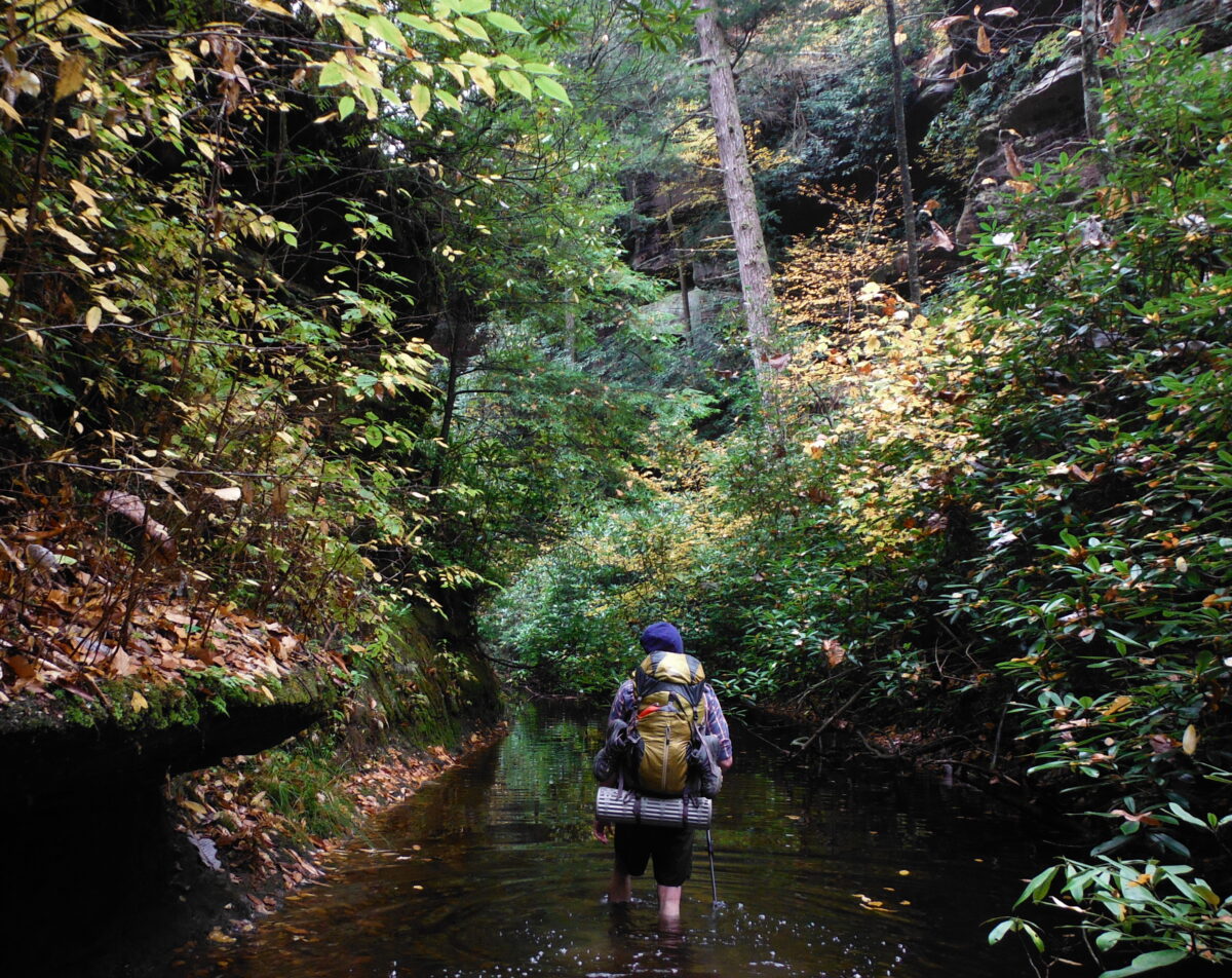 Episode 47 | Mark Wetherington Reads “The Backpacking Tithe Project”