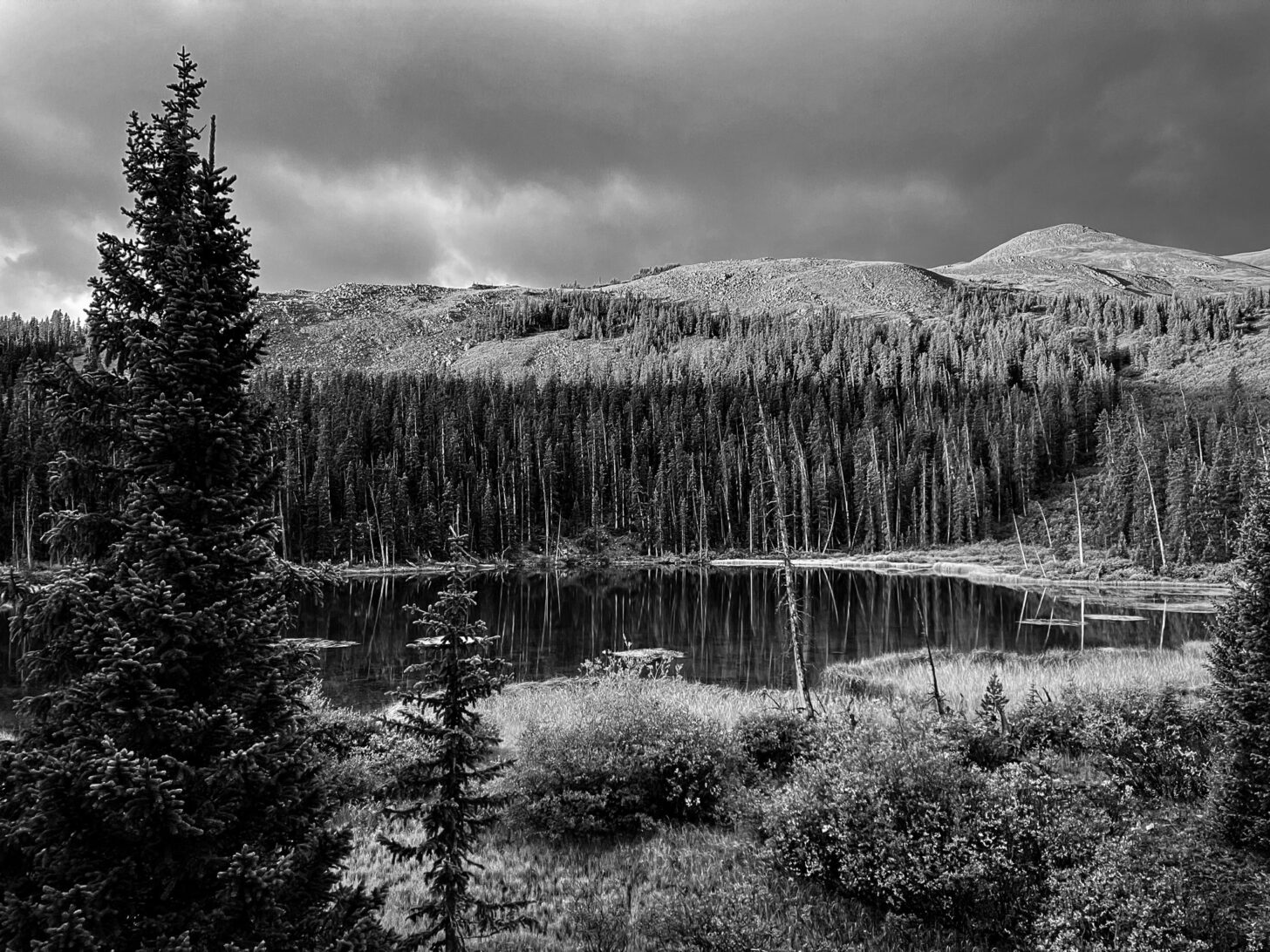 Morning alpenglow cuts a sharp line across the forest in the background of this sub-alpine lake