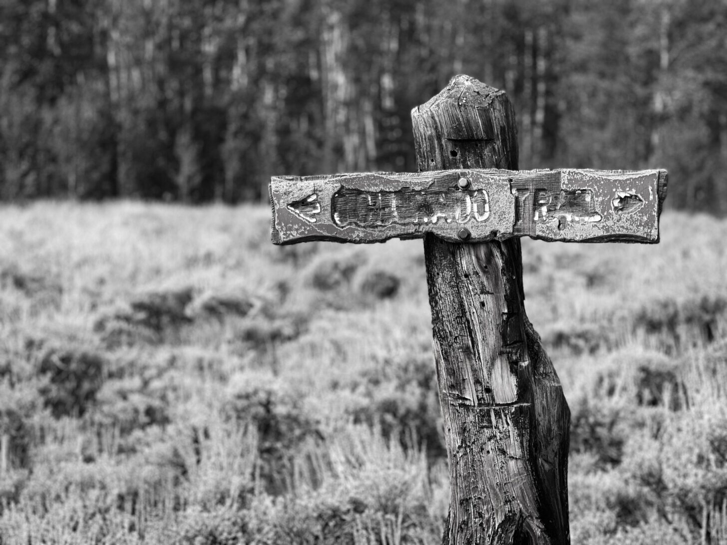 a weathered old Colorado Trail sign