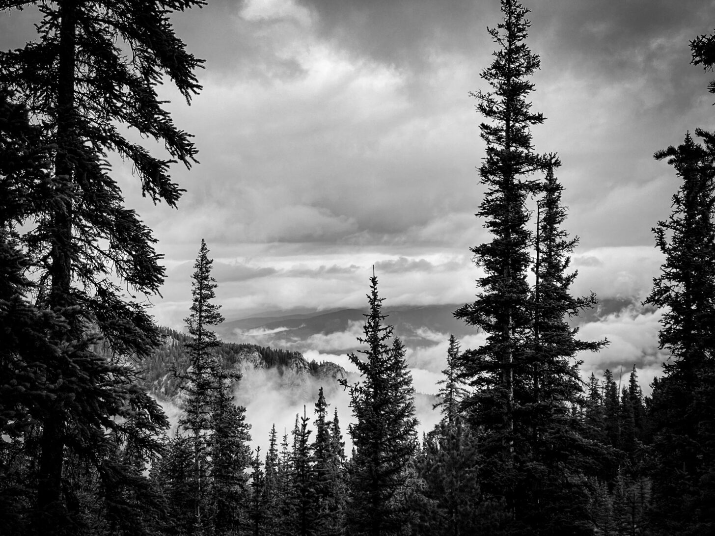 a landscape photograph with trees and clouds prominent