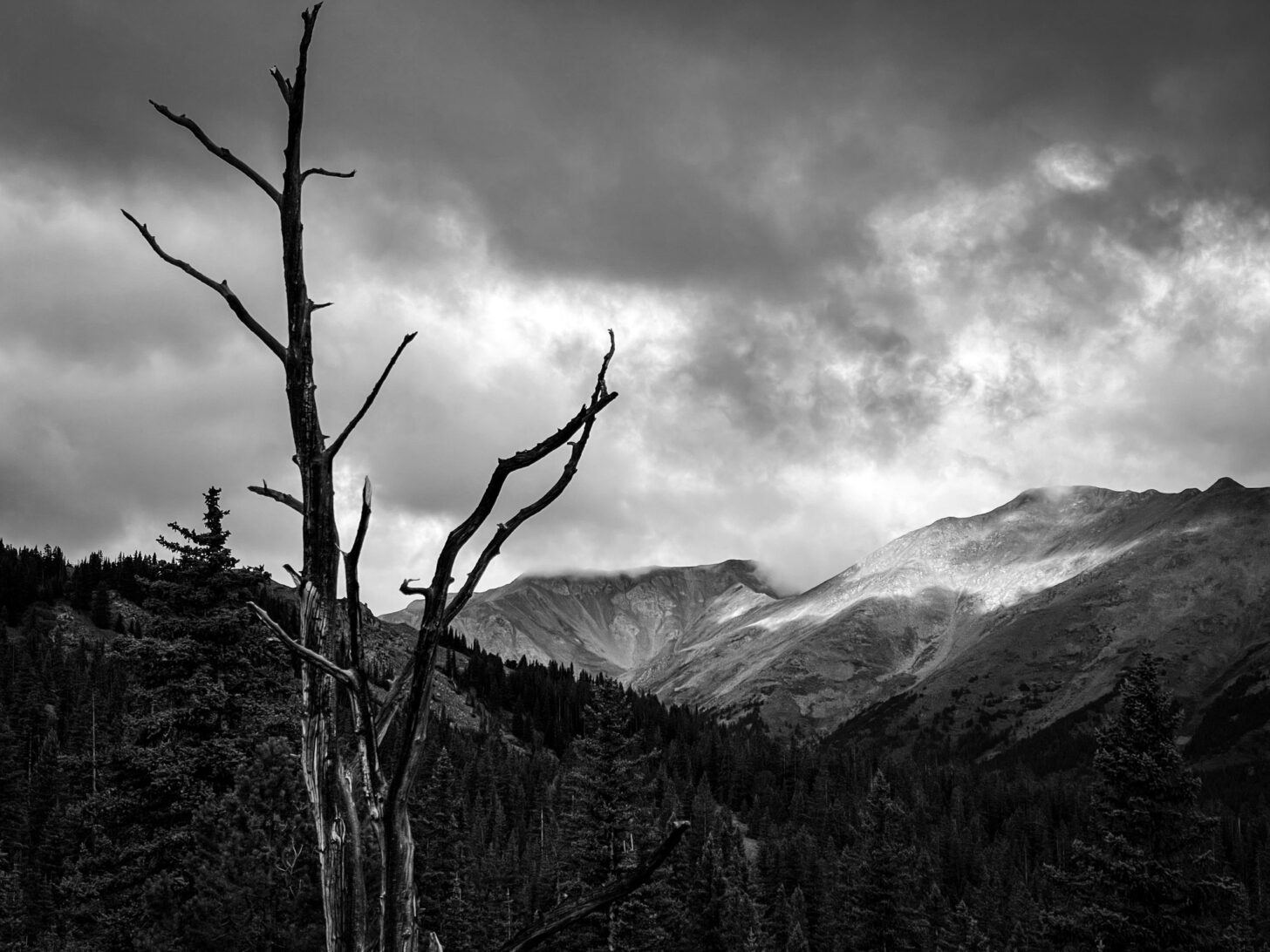 a dead tree in the foreground, mountains and clouds in the background