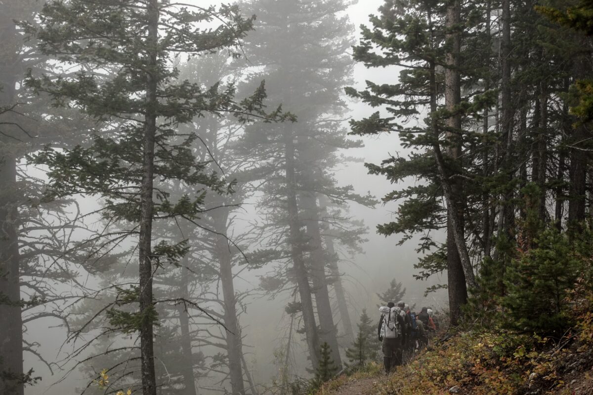group of hikers in a forest, walking in the rain