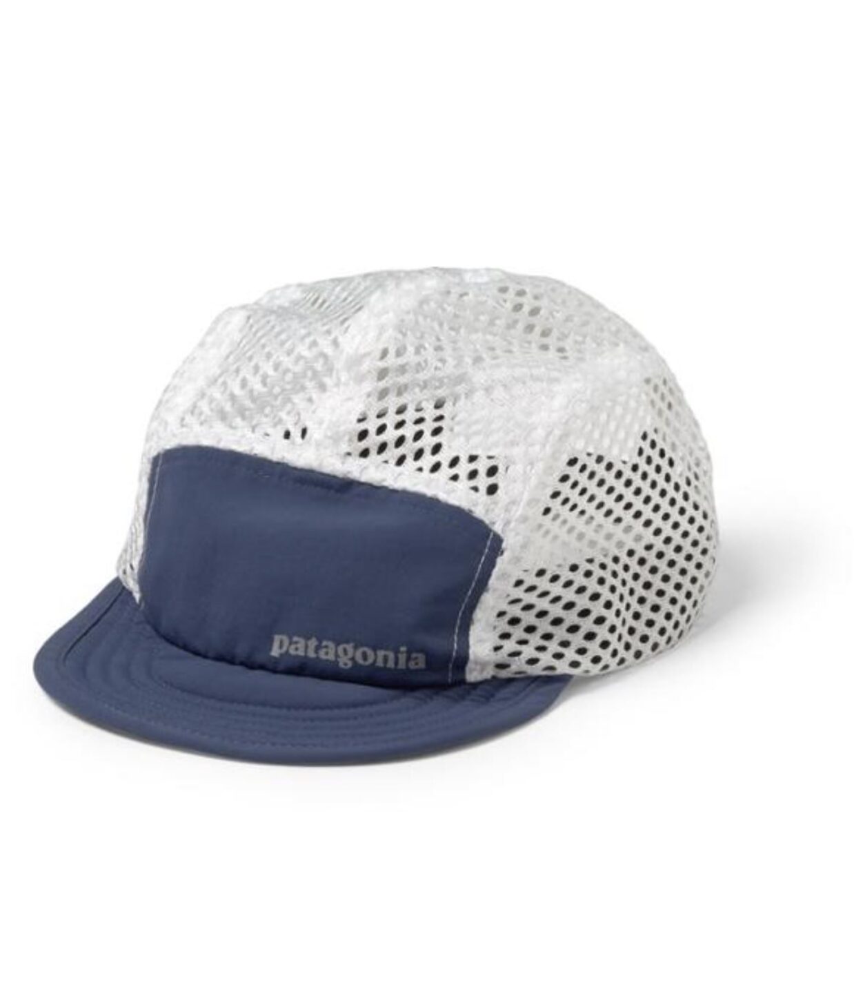 a patagonia duckbill cap against a white background