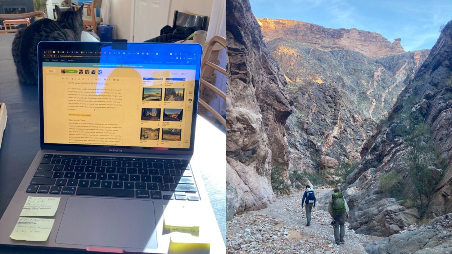 a split screen photo. On the left, a laptop with a cat in the background. On the right, a vista of the Grand Canyon.