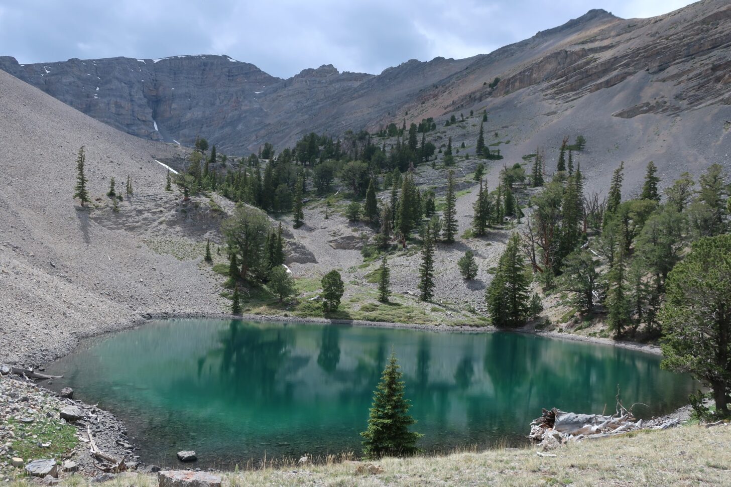 A small lake with some trees around it and mountains in the background