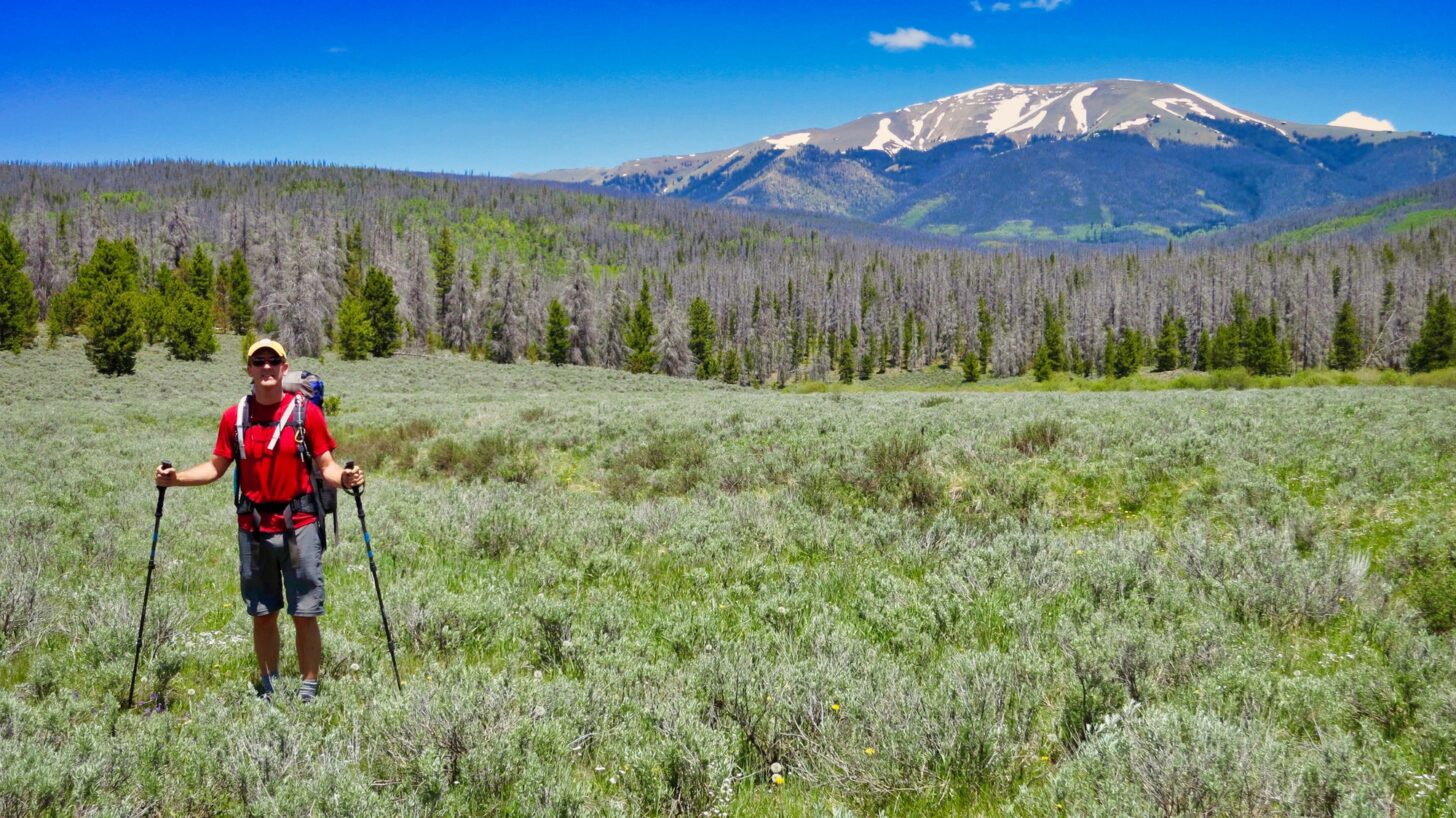 a man in a red shirt stands in a meadow with a mountain behind him