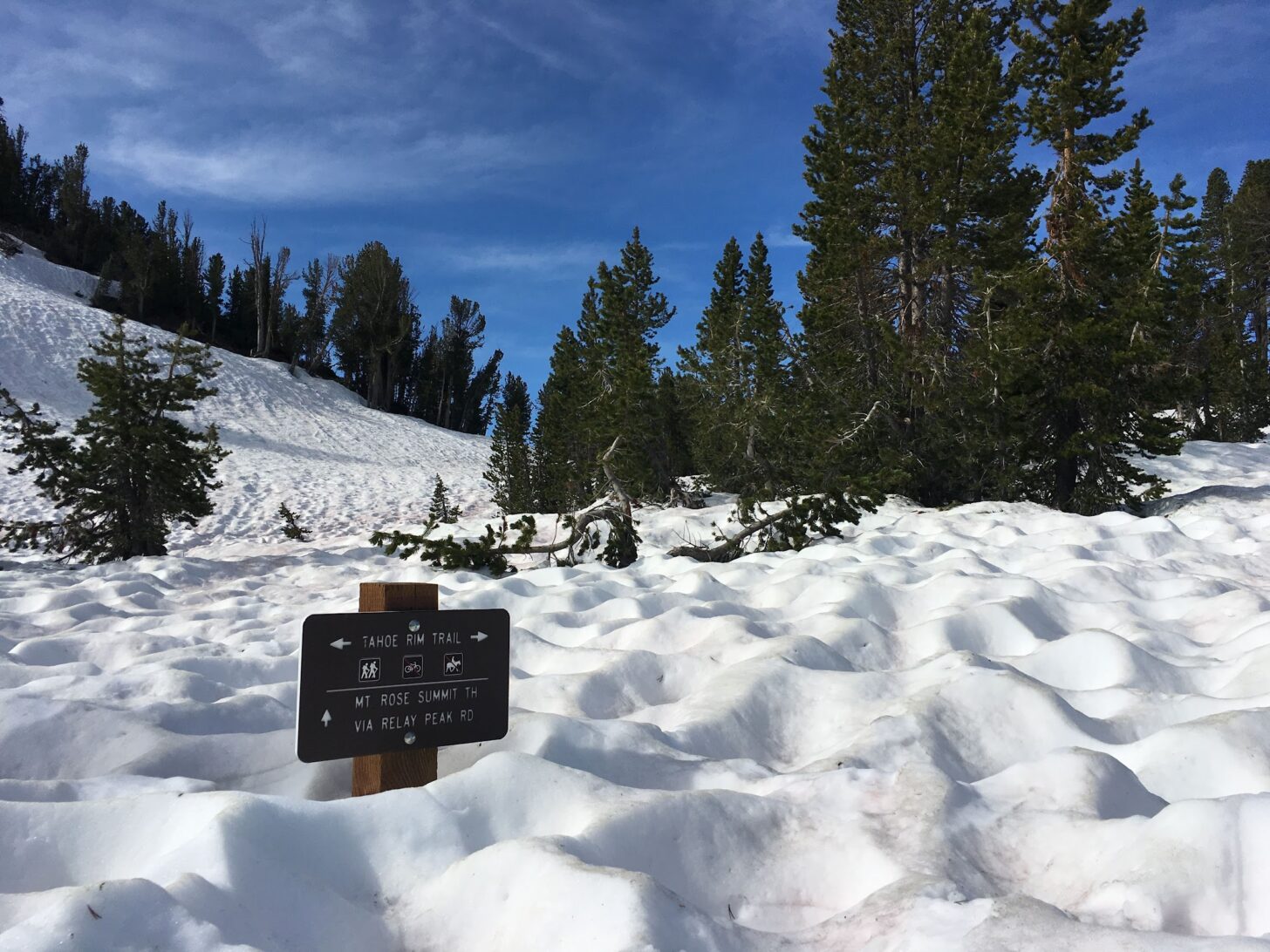 a trail sign almost completely covered by snow with trees in the background.