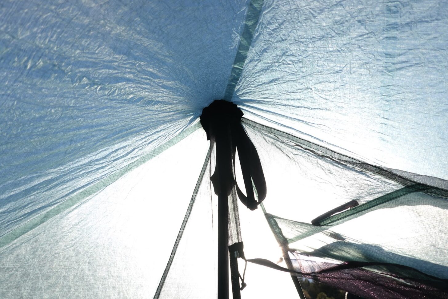 a close-up of a trekking pole handle pushing up against the apex of the tent